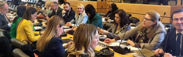 Делегација Србије представила извештај о укидању расне дискриминације