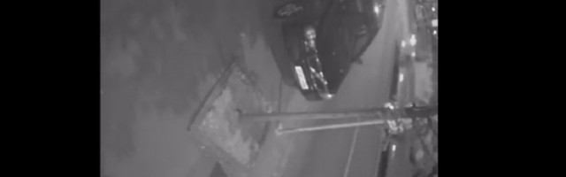 GSP da nađe vozača autobusa i otpusti ga (VIDEO)