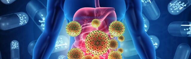 Prirodni probiotici za bolji rad creva