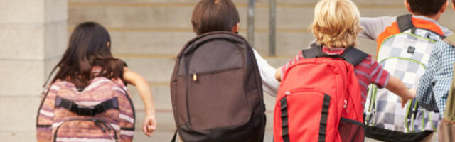 POČEO VELIKI EKSPERIMENT SA DECOM! Ova zemlja uvela je zabranu koja im može promeniti živote, pitanje je - na bolje ili na gore?