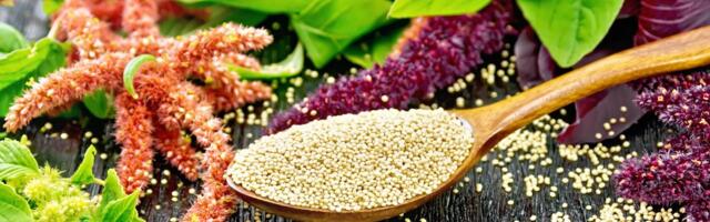 Asteci i Inke smatrali su je "namirnicom besmrtnosti": Zašto je ova žitarica najzdraviji ugljeni hidrat