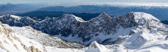 Sneg ih oterao sa planine: Izgladnele životinje stigle do centra grada, potez vlasti šokirao sve