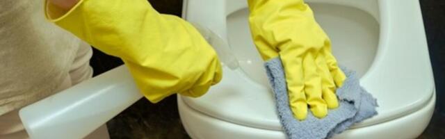 Neprijatan miris i kamenac u WC šolji nestaju u trenu: Jedan jeftin sastojak rešava sve