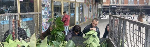 Džinovski primerak: Žene opet napravile pometnju u Čačku (VIDEO)