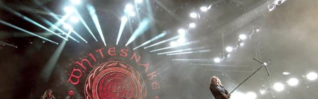 Whitesnake na Tašu: Karte "prihvatljive"