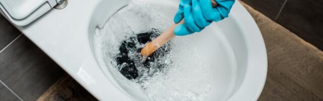 Kako otpušiti WC šolju bez otpušivača