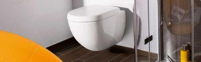 Najjednostavniji recept za čistu i belu wc šolju