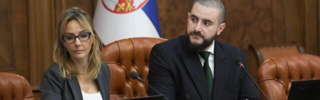 Zukorlić predsjedavao vladinim odborom za odnose sa inostranstvom