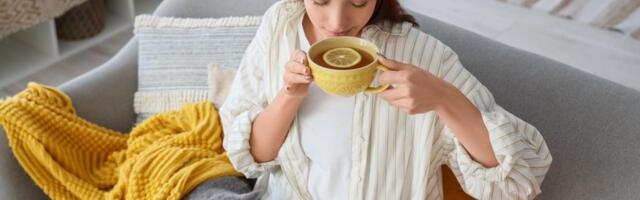 Kako da vazduh u prostorijama ne bude suv: Lepo je kad je toplo, ali...