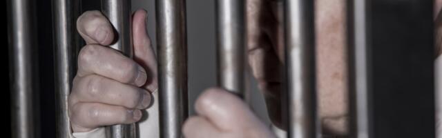 Veštačka inteligencija poslala nevinu baku u zatvor na 6 meseci: Policija nije proverila trag koji je dao AI