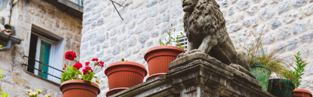 Kakve promene očekuju crnogorsku političku scenu u novoj godini?