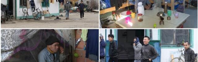 Kineski Goli otok u Srbiji - II deo