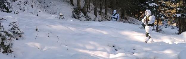 VOJNA VEŽBA NA GOČU