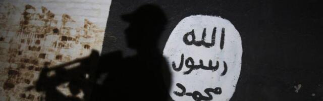 Da li ponovo jača Islamska država