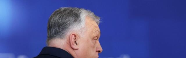 NVO: Mreža lažnih naloga, mobilisana prošle godine da utiče na izbore u Holandiji, preusmerena na izbore u Mađarskoj