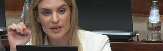 MINISTARKA ĐURĐEVIĆ STAMENKOVSKI POKLOPILA OPOZICIJU U SKUPŠTINI: Svi su se složili da je ovaj zakon pozitivan korak - prvi put se bavimo pravima roditelja