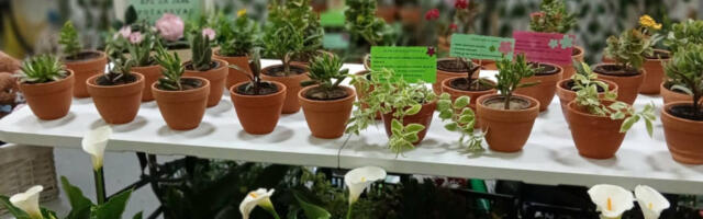 Осуђеници из Србије награђени на међународном сајму хортикултуре