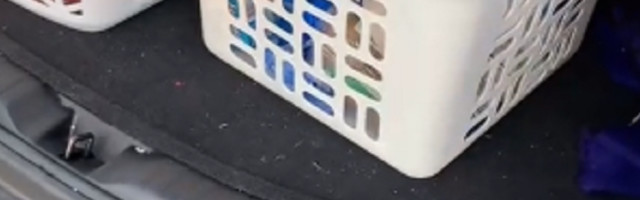 Tik-toker pokazao jednostavan trik za bržu kupovinu, potrebna je samo jedna stvar