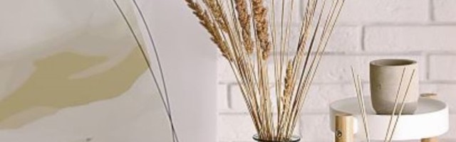 PRATITE TRENDOVE: Suva pampas trava, svetski hit za dekoraciju doma