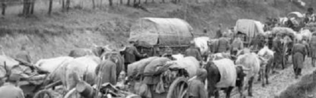 Sigurno niste znali da je pet hiljada stranaca iz daleke zemlje 1915. godine žrtvovalo život za spas Srbije