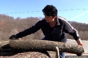 Гордана Збиљић из Пребрезe, једина жена дрвосеча