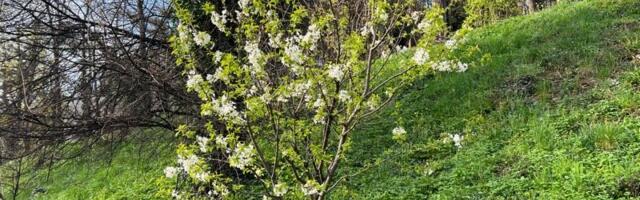 Pretežno sunčano i toplo vreme