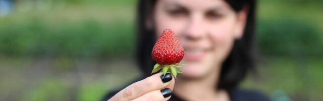 Nekoliko jagoda dnevno čini čuda za vaš organizam organizam