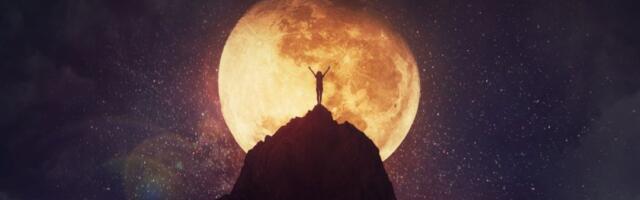 Dnevni horoskop za petak 28. novembar: Ribe žive u mašti, Strelčevima uspeh na poslu