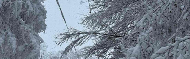 Ледени дани пред Србијом: снег, поледица и јаки јутарњи мразеви