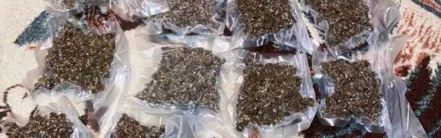 „Očigledno je došlo do konflikta unutar organizovane kriminalne grupe zvane SNS“: Da li je Konjuh nova Jovanjica?