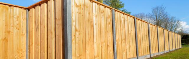 Izgled, praktičnost i ekonomičnost – kako odabrati ogradu za kuću