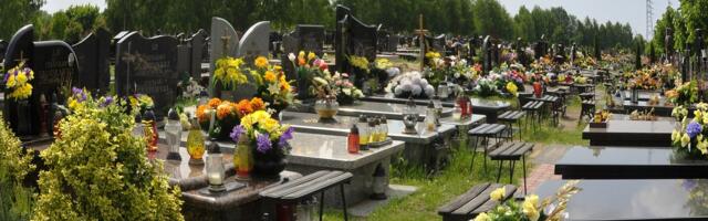 Zašto Generacija Z bira groblja za sastanke?