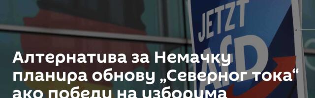 Алтернатива за Немачку планира обнову „Северног тока“ ако победи на изборима