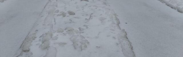 "BAŠ ČUDNOG VREMENA" Ni najstariji Užičani ovako nešto ne pamte: Znao je da bude sneg za Božić i po pola metra, pa smo pili kafu na terasi! Ali ovo... (FOTO)