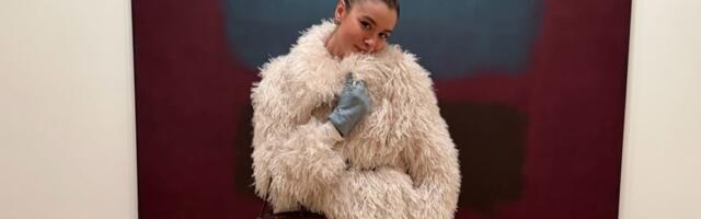 Evo koji sve muzeji nude besplatan ulaz povodom Dana državnosti