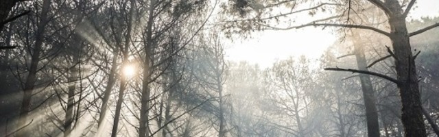 U Italiji baksuzni broj nije 13 već 17, a razlog je krajnje bizaran