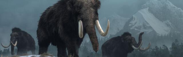 SAMO ŠTO NIJE "VASKRSAO"! Najavili da će oživeti džinovskog biljojeda od 3,5 METARA: Ovo je rok