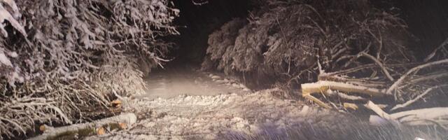 Građani Hrvatske se bore sa nezapamćenim snegom: "Jedva smo izlopatali prolaz, a sneg ne prestaje"