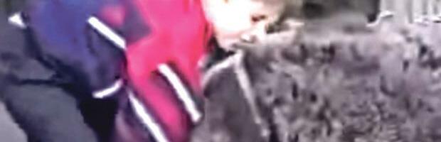 SA 9 GODINA OTAC JE OD NJEGA TRAŽIO DA SE BORI SA MEDVEDOM! Postao je neprikosnoveni šampion, a kada je odbranio titulu zaplakao je, pa šokirao planetu