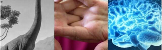 10 najpoznatijih mitova: Grom ne udara na isto mesto