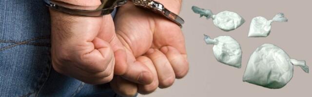 Hapšenje na Đerdapu! Mađar u prtljagu krio kokain i marihuanu