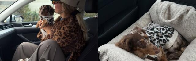 Potreban vam je odmor? Ove last minute pet-friendly kuće u prirodi mogu biti rešenje