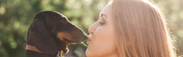 Neobičan posao u Njujorku: Njuškanje daha pasa i analiza psećeg poljupca