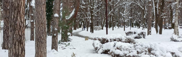 Meteorolog Todorović: Stižu ledeni dani