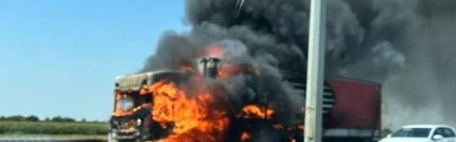 Zapalio se kamion koji prevozi bikove: Drama na auto-putu kod srpskog grada, mrežama kruži strašna fotografija