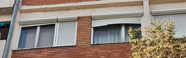PRETUKLA MAJKU NASMRT, UMOTALA JE U ĆEBE I BACILA Toliko je udarala nesrećnu ženu da su joj otpadali kosa i koža