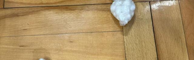 Pao diler u Nišu: Policija mu u stanu pronašla više vrsta droge