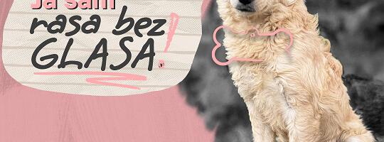 „Rasa bez glasa“: Direct Media poziva na podršku  napuštenim životinjama