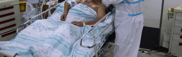 1.600 uzoraka pokazalo novu vrstu!