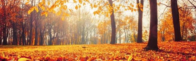 Kakvo nas vreme očekuje do 20. novembra: Ovo nismo očekivali
